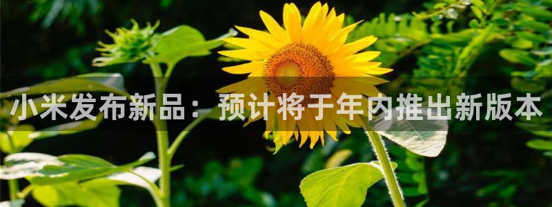 银河娱乐官网下载：小米发布新品：预计将于年内推出新版本