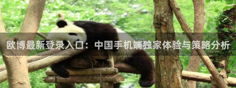 壹号平台下载：欧博最新登录入口：中国手机端独家体验与策略分析