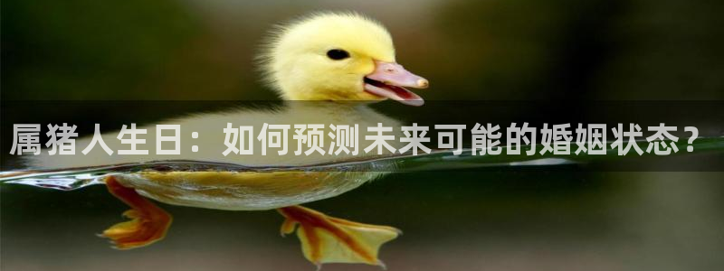 壹号app下载链接：属猪人生日：如何预测未来可能的婚姻状态？
