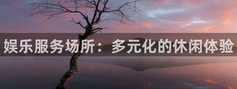 壹号电子娱乐app下载：娱乐服务场所：多元化的休闲体验