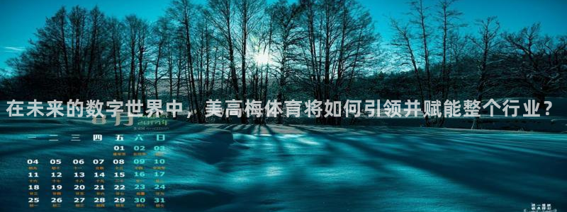 壹号大舞台：在未来的数字世界中，美高梅体育将如何引领并赋能整个行业？