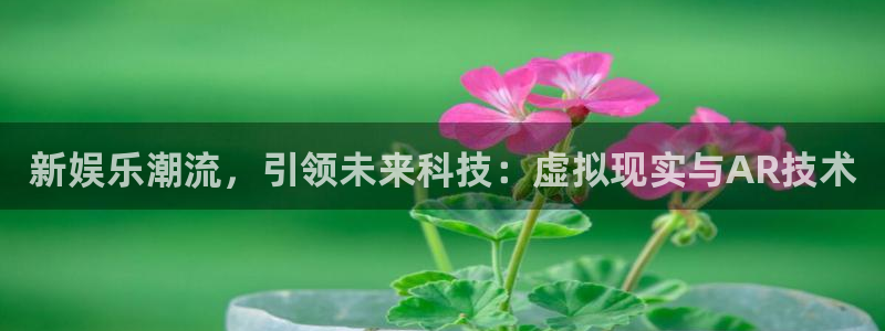 壹号大舞台28国际大舞台：新娱乐潮流，引领未来科技：虚拟现实与AR技术