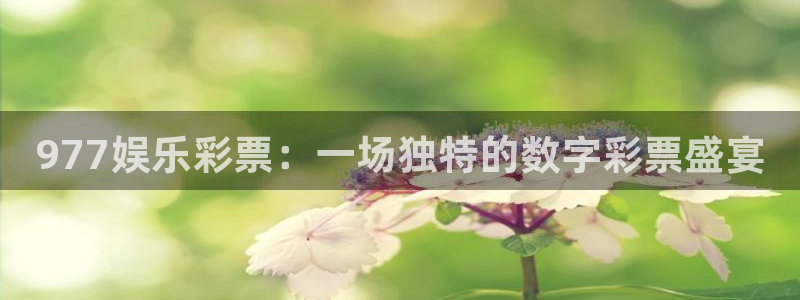 壹号大舞台下载链接：977娱乐彩票：一场独特的数字彩票盛宴