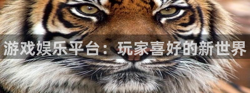 银河娱乐app下载安装：游戏娱乐平台：玩家喜好的新世界