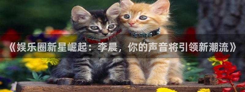 银河娱乐平台app下载：《娱乐圈新星崛起：李晨，你的声音将引领新潮流》