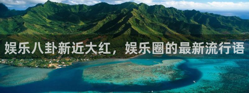 壹号top娱乐：娱乐八卦新近大红，娱乐圈的最新流行语