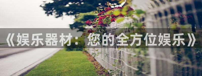 伟德国际集团 壹号(one game)：《娱乐器材：您的全方位娱乐》
