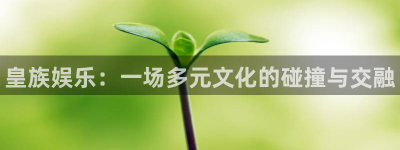 银河娱乐app下载安装：皇族娱乐：一场多元文化的碰撞与交融