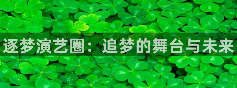 银河娱乐app：逐梦演艺圈：追梦的舞台与未来