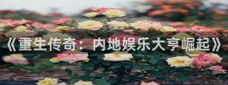 银河娱乐(com.youad.authst)：《重生传奇：内地娱乐大亨崛起》