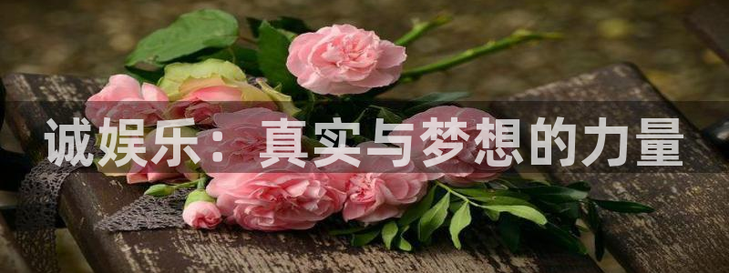 壹号平台下载安装：诚娱乐：真实与梦想的力量