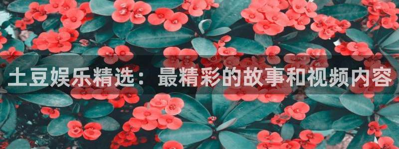 壹号官方app下载安装：土豆娱乐精选：最精彩的故事和视频内容