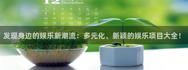 壹号大舞台官网入口：发现身边的娱乐新潮流：多元化、新颖的娱乐项目大全！