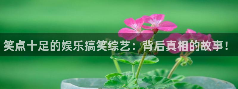 壹号电子娱乐app下载安装最新版本：笑点十足的娱乐搞笑综艺：背后真相的故事！