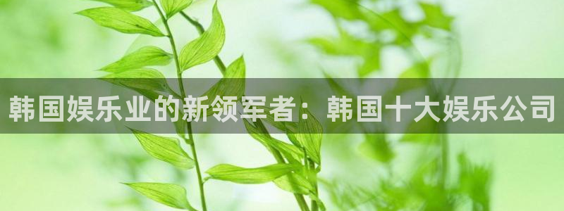 壹号大舞台怎么下载：韩国娱乐业的新领军者：韩国十大娱乐公司