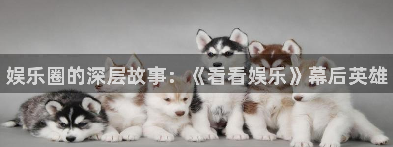 壹号电子娱乐app下载官网：娱乐圈的深层故事：《看看娱乐》幕后英雄